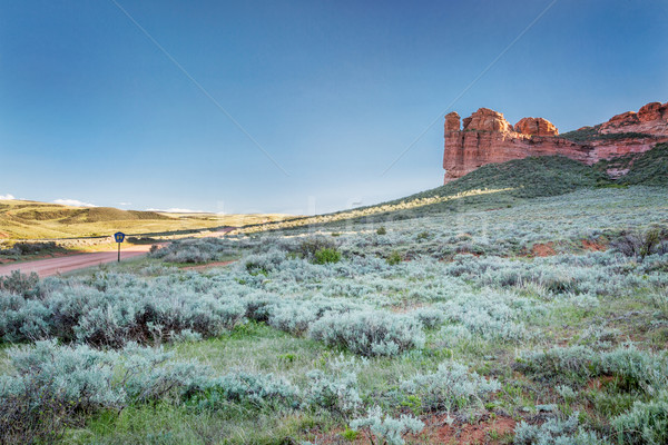 prairie, shrubland and sandstone Stock photo © PixelsAway