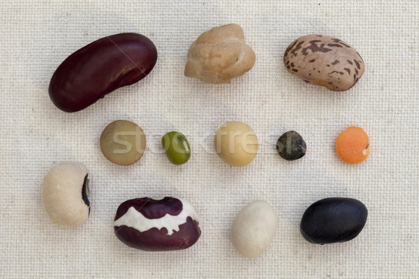 Stock photo: variety of beans and lentils on canvas
