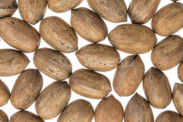 pecan nuts on white background Stock photo © PixelsAway