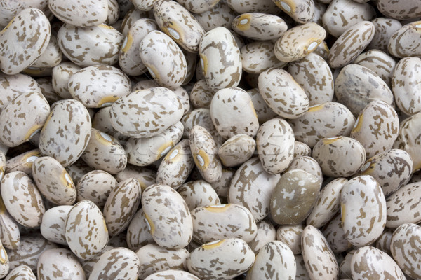 pinto or mottled beans Stock photo © PixelsAway