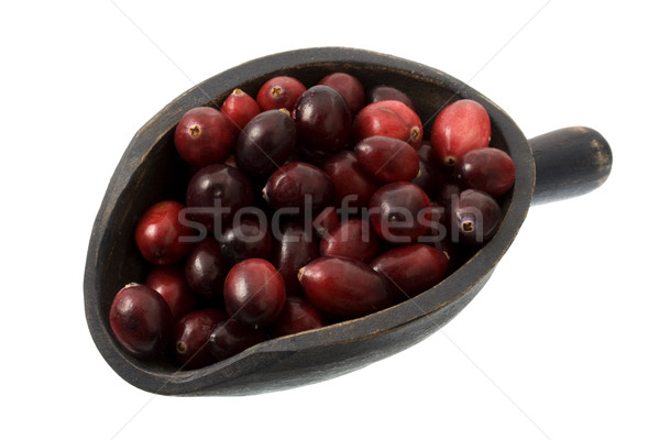 scoop of fresh cranberries Stock photo © PixelsAway