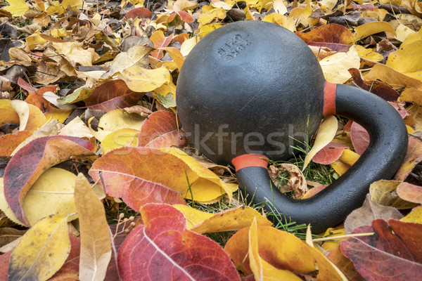 Esercizio kettlebell foglie pesante caduta colore Foto d'archivio © PixelsAway