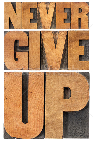 never give up in wood type Stock photo © PixelsAway