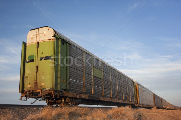train of old stock rail cars for livestock transportation  Stock photo © PixelsAway