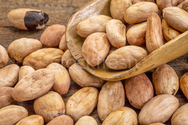 舀 可可 豆類 有機 鄉村 商業照片 © PixelsAway