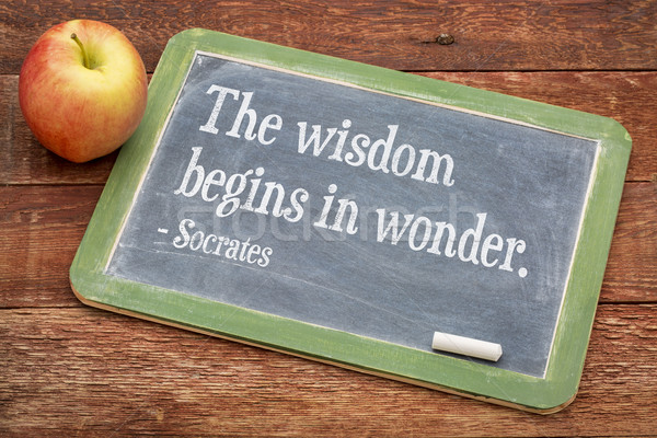 Wisdom begins in wonder Stock photo © PixelsAway