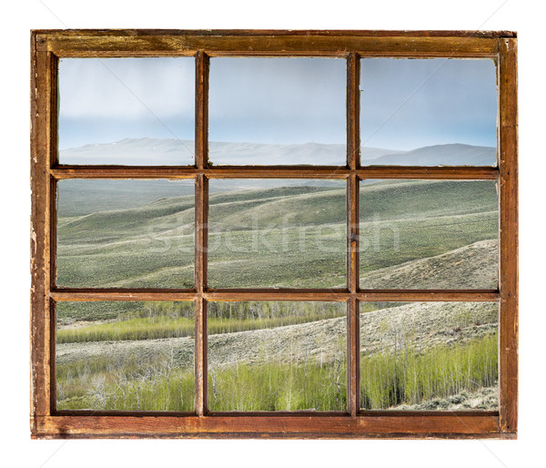aspen grove in rain window view Stock photo © PixelsAway