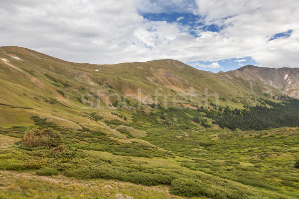 Munte alpin vară verde munţi Imagine de stoc © PixelsAway