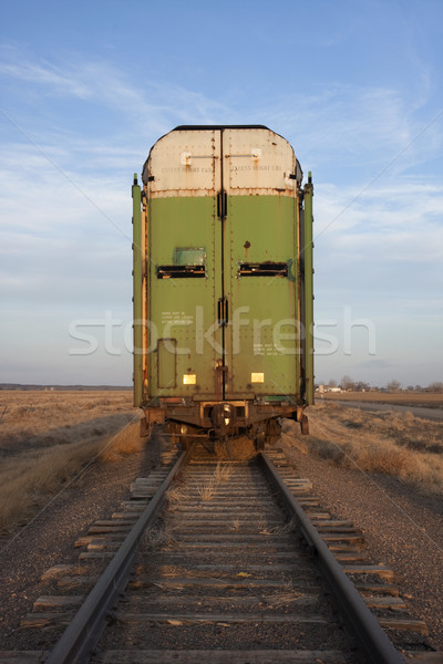 old stock rail car for livestock transportation  Stock photo © PixelsAway