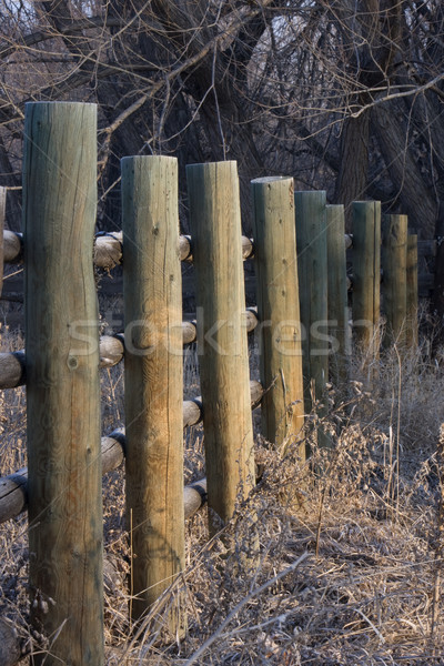 farm fence covered with frost Stock photo © PixelsAway
