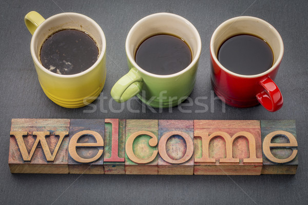 welcome sign in vintage wood type Stock photo © PixelsAway