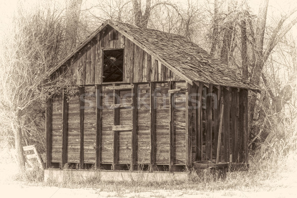 rustic, small,  abandoned barn in woods Stock photo © PixelsAway