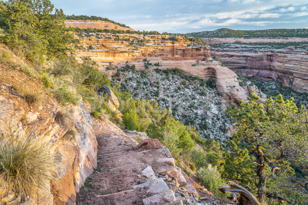 Dik iz kumtaşı kanyon yürüyüş sabah Stok fotoğraf © PixelsAway