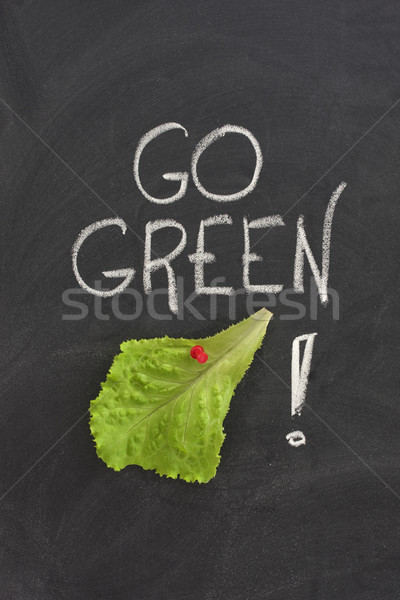 go green concept on blackboard Stock photo © PixelsAway