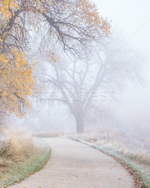 bike trail with fog and frost  Stock photo © PixelsAway