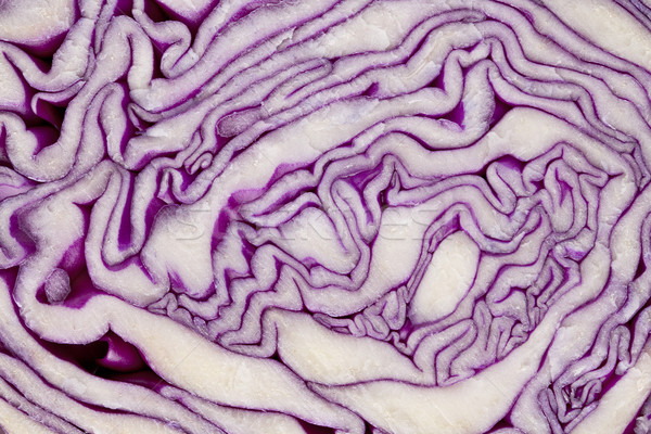 red cabbage Stock photo © PixelsAway