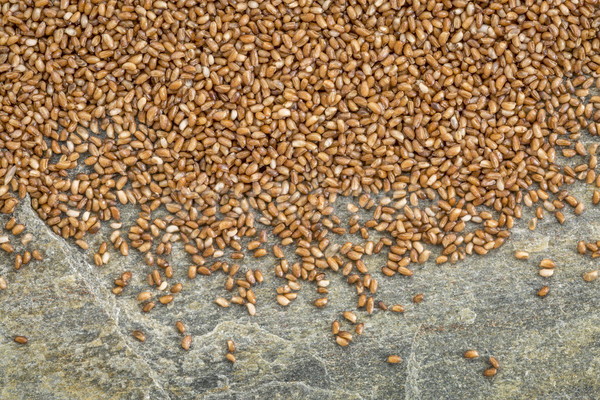 Grano fondo saludable sin gluten textura piedra Foto stock © PixelsAway