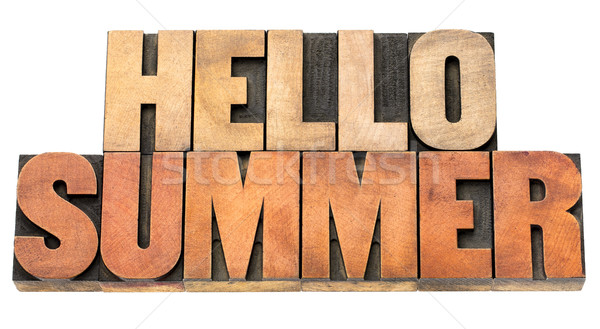 Stock photo: hello summer - word abstract in wood type