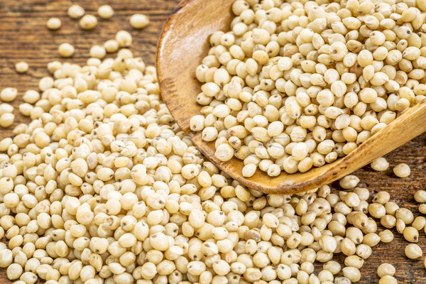 scoop of sorghum grain Stock photo © PixelsAway