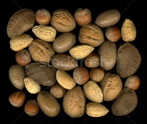 Mix nuts in shells: walnut, hazelnut, pecan, almond, brazil Stock photo © PixelsAway