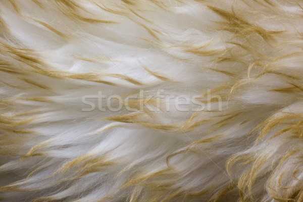 lambskin - fur background with a wavy pattern Stock photo © PixelsAway