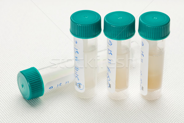 Proben Labor Test Kunststoff Rohre unterschiedlich Stock foto © PixelsAway