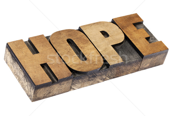 Hoffnung Wort Holz Typ isoliert Text Stock foto © PixelsAway