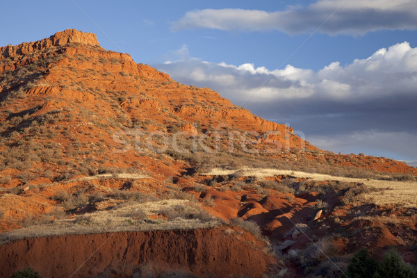 eroded red mountain with sparse vegetation Stock photo © PixelsAway