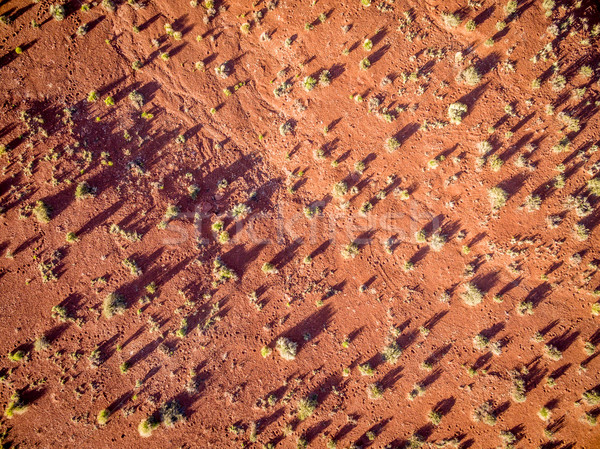 Wüste Luftbild sunrise grob Vegetation Utah Stock foto © PixelsAway