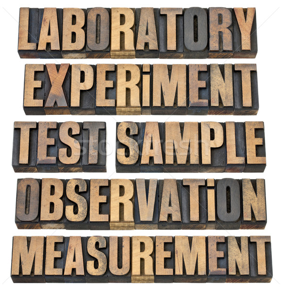 experiment, observation, test Stock photo © PixelsAway