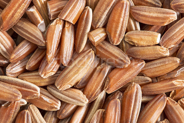 brown rice grain macro Stock photo © PixelsAway