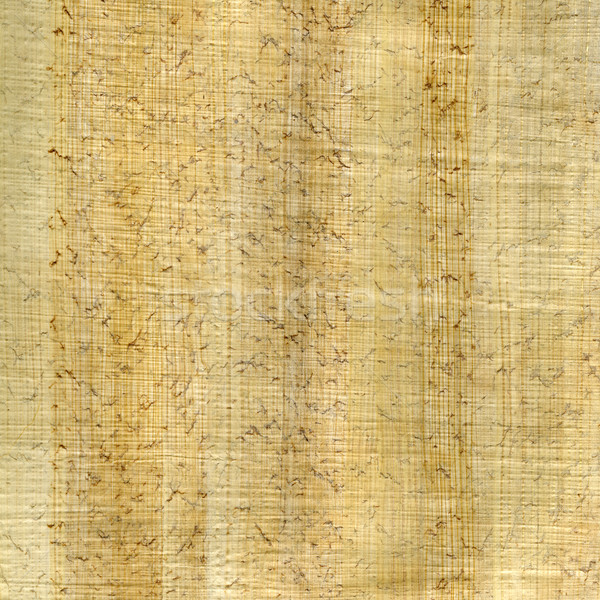 папирус бумаги текстуру бумаги волокно шаблон Сток-фото © PixelsAway