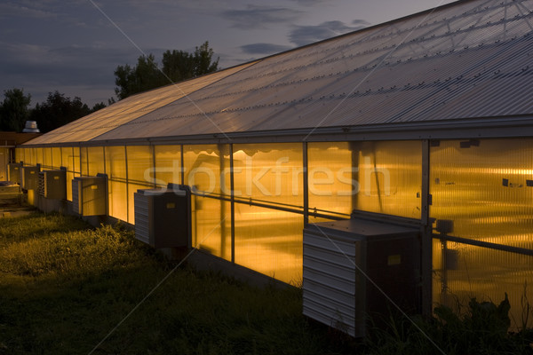 [[stock_photo]]: Effet · de · serre · nuit · longtemps · recherche · campus