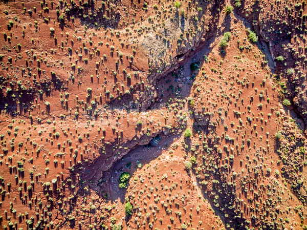 desert aerial view at sunrise Stock photo © PixelsAway