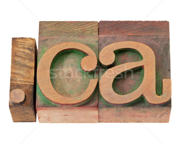 加拿大 因特網 域名 點 復古 木 商業照片 © PixelsAway