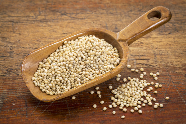 white sorghum grain Stock photo © PixelsAway