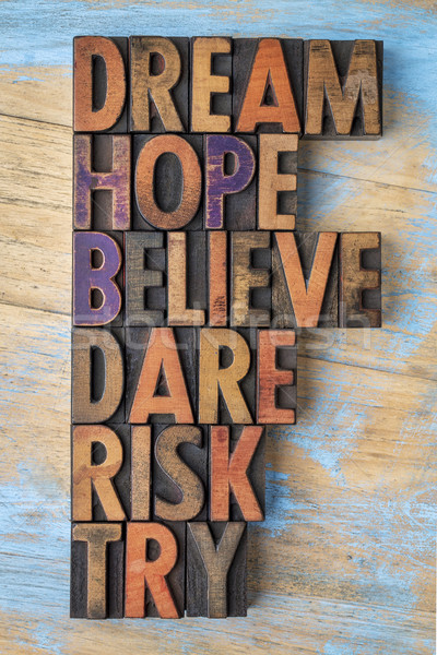 dream, hope, believe, dare, risk and try Stock photo © PixelsAway
