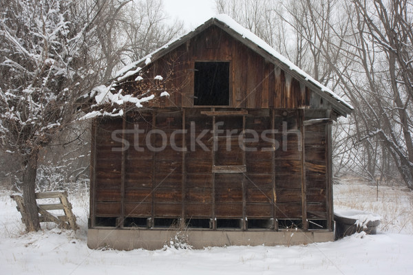 old, small barn iduring snow storm Stock photo © PixelsAway