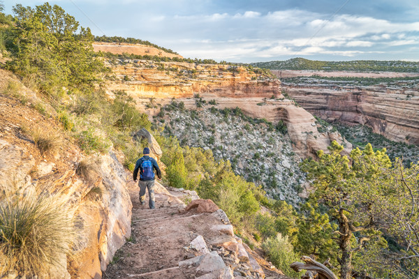 Wandelaar steil parcours mannelijke canyon ochtend Stockfoto © PixelsAway