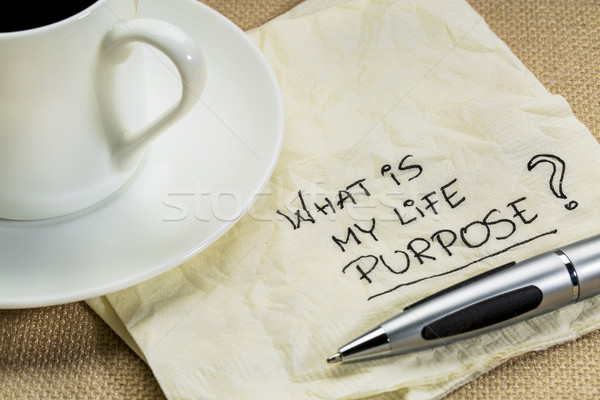 What is my life purpose question Stock photo © PixelsAway