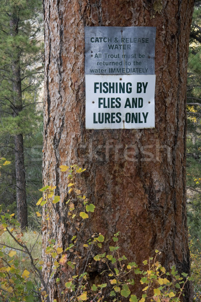 catch and release water sign near trout river Stock photo © PixelsAway