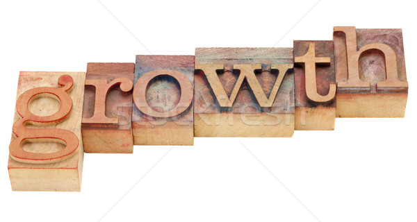 Wachstum Buchdruck Typ isoliert Wort Jahrgang Stock foto © PixelsAway