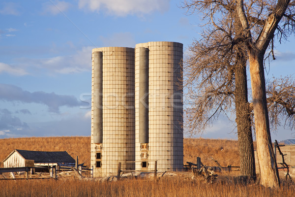 abandoned farm in Colorado Stock photo © PixelsAway
