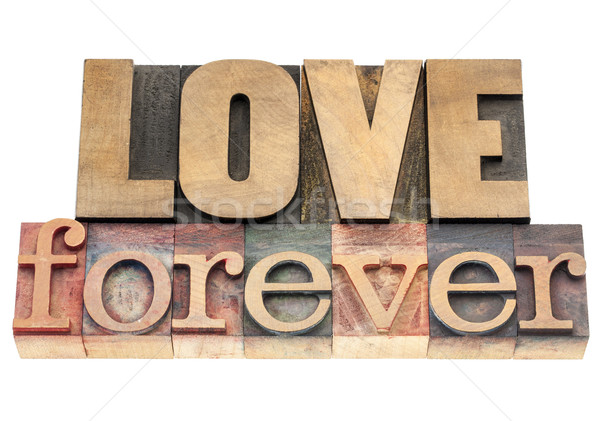 Amore per sempre legno tipo isolato testo Foto d'archivio © PixelsAway