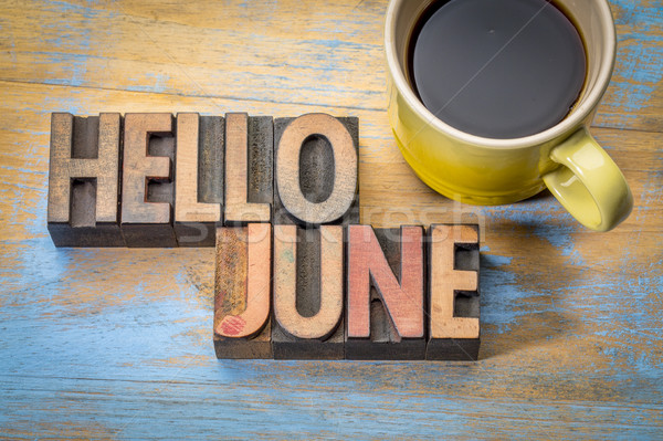 Hello June word abstract in wood type Stock photo © PixelsAway