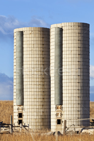 twin farm silos Stock photo © PixelsAway
