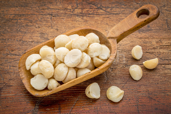 scoop of macadamia nuts Stock photo © PixelsAway