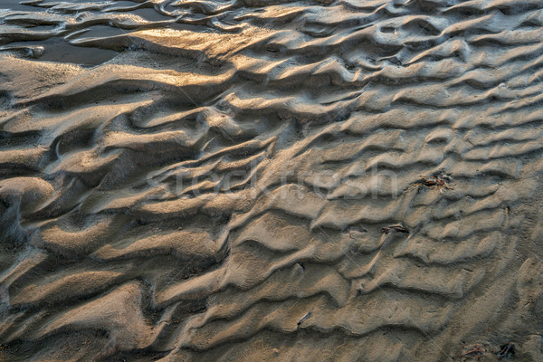 Stock photo: river sandbar texture and pattern