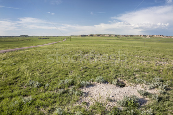 fox den in Pawnee Grassland Stock photo © PixelsAway