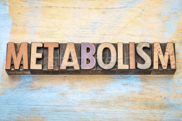 metabolism word in wood type Stock photo © PixelsAway